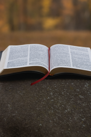 February 17, 2024 Sermon